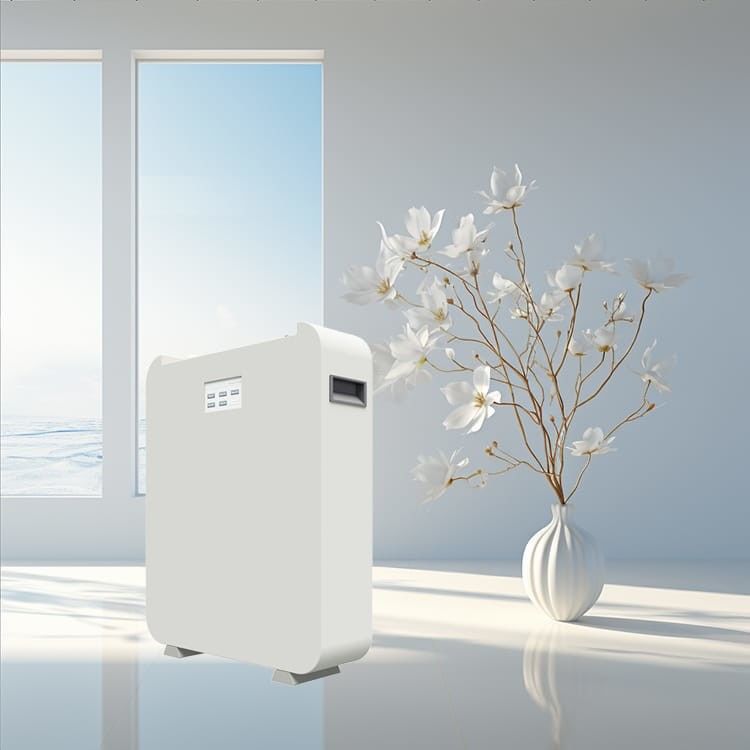 高電圧太陽電池 ESS リチウムイオン電池 25.6Kwh 30.72Kwh 48V