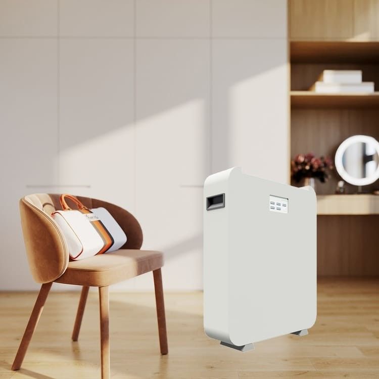 名電圧 ESS Lifepo4 家電用の家電